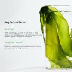 Sea Kelp Hydrogel Mask for Oily Skin