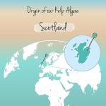 Organic Iodine Supplement from Scottish Sea Kelp