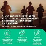 Korean Ginseng 3000mg | 120 High-Strength Capsules