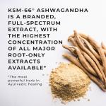 High Strength Organic Ashwagandha KSM-66®, 600mg