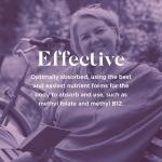 BioCare Adult Multivitamins & Minerals for Energy and Health