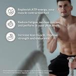 Pure Micronized Creatine Monohydrate - 500g