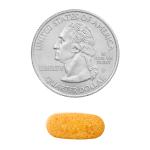 Spring Valley B-100 Complex for Metabolism Support