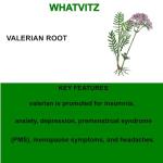Valerian Root 120 Veggie Capsules