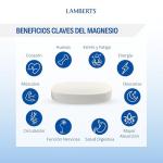 Lamberts High Strength Magnesium 375mg Tablets