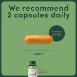 Nature's Bounty Turmeric Capsules - 500mg, 60 Count