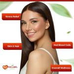 High Strength Vitamin B Complex 360 Tablets