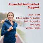 Pure Trans Resveratrol 1000mg - 60 Capsules