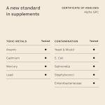 Alpha GPC 600mg - Pure Brain Support Supplement