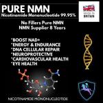 NMN + Trans Resveratrol Capsules 500mg Blend