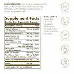 Solgar Vitamin B-Complex "100" - 100 Veg Capsules