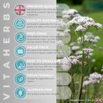 ValerinForte™ Valerian Root Extract Tablets - 100 Vegan