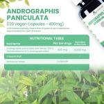 Alzuro Labs High-Dose Andrographis Paniculata Capsules