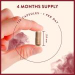 Natural Iron & Vitamin C Supplement - 120 Capsules