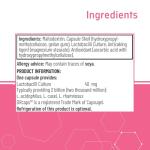 Quest Probiotic Capsules for Immune & Digestive Health