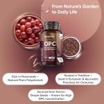 High-Strength Grape Seed Extract 1000mg Capsules