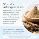 YOUTHEORY ASHWAGANDHA Vegetarian Capsules for Calm