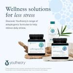 YOUTHEORY ASHWAGANDHA Vegetarian Capsules for Calm