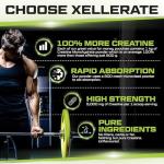 Micronised Creatine Monohydrate Powder - 1kg