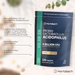 Lactobacillus Acidophilus 6 Billion CFU Vegan Tablets