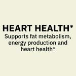 Spring Valley L-Carnitine Amino Acid 500 mg 30ct