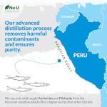 Zinc, Calcium, Magnesium & Vitamin D Complex 365 Tablets