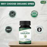 Organic Hadjod Cissus Tablets - 120 Count