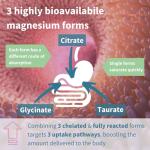 Triple Magnesium Complex - Vegan & Gentle Formula