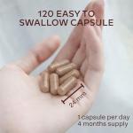 Natural Iron & Vitamin C Supplement - 120 Capsules