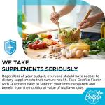 High Strength Liposomal Fisetin with Quercetin 1200mg