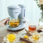 600ML Automatic Drip Coffee Maker for Home
