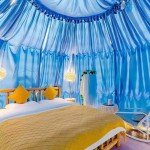 Clear Dome Camping Tent for Events and Gatherings