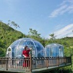 Transparent Star Room Tent for Camping and Dining