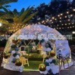 Clear Bubble Dome Camping Tent for Events