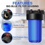 Big Blue Whole House Water Filter System