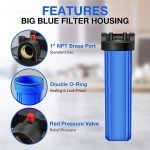 Big Blue Whole House Water Filter System