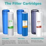 Whole House Water Filter System with Sediment Filter