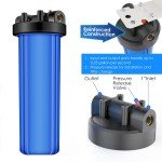 Big Blue Whole House Water Filter System