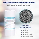 Big Blue Whole House Water Filter System