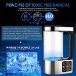 Portable Hydrogen-Rich Water Ionizer Generator 2L