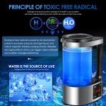Hydrogen Water Ionizer Generator - 2L Capacity