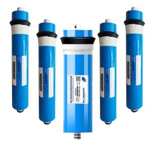 Reverse Osmosis Water Filter Replacement - 50 to 400 GPD