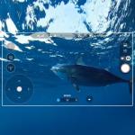 PowerVision PowerDolphin: Underwater Drone with 4K Camera