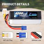 Zeee 6S Lipo Battery for RC Drones (2 Pack)