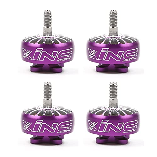 iFlight XING 2306 2450KV Brushless Motor (4pcs)