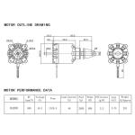 DXW Outrunner Brushless Motor for FPV Drones