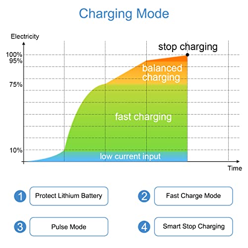 RC Battery Charger for Drones, Boats & Cars