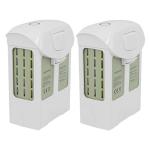 DJI Phantom 4 Replacement Batteries (2-Pack)