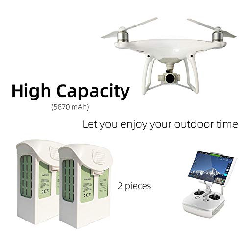 DJI Phantom 4 Replacement Batteries (2-Pack)