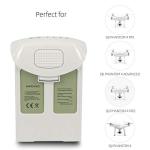 DJI Phantom 4 Replacement Batteries (2-Pack)